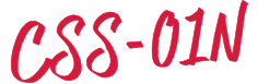 CSS-01N