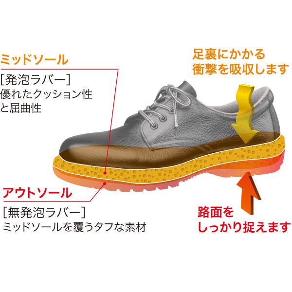 �D�ꂽ�N�b�V�������Ƒϋv��