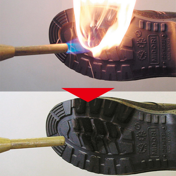 �M�ɋ����C��