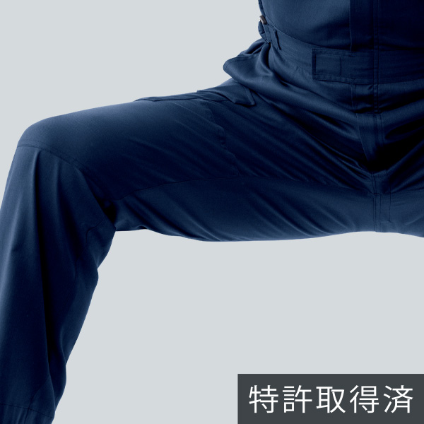 �ҕ��@�V���ْ̍f�\���i�t���J�r�d�l�j