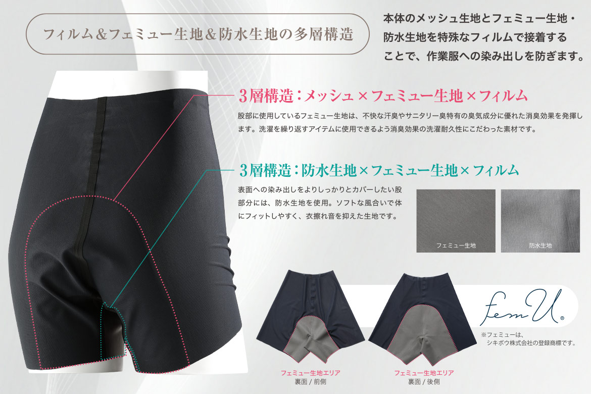 �t�B�������t�F�~���[���n���h�����n�̑��w�\��